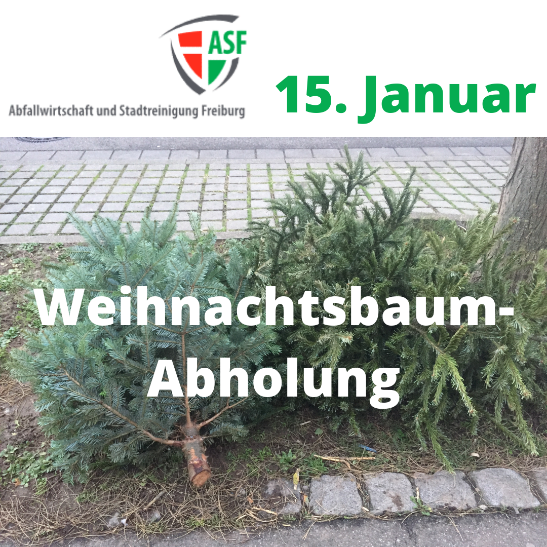 Weihnachtsbäume Abholung 15.1.
