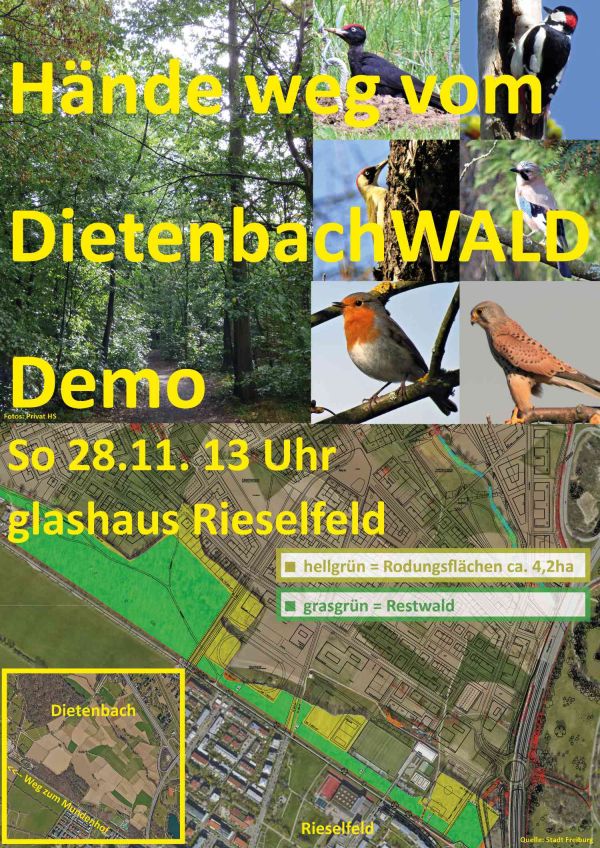 Der DietenbachWALD und seine Bewohner