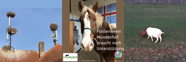 Störche, Pferd und Ziege vom Mundenhof
