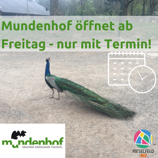 Bild von Pfau "Mundenhof öffnet ab Freitag - nur mit Termin!"