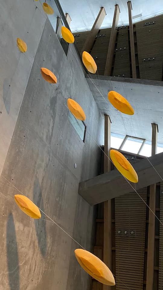 Lichtboote im Rieselfeld