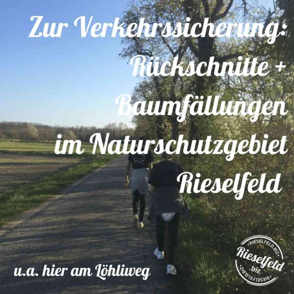 Löhliweg mit Wanderern