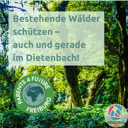 Bestehende Wälder schützen –  auch und gerade im Dietenbach!