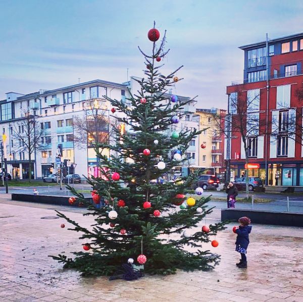 Rieselfelder Weihnachtsbaum 2020