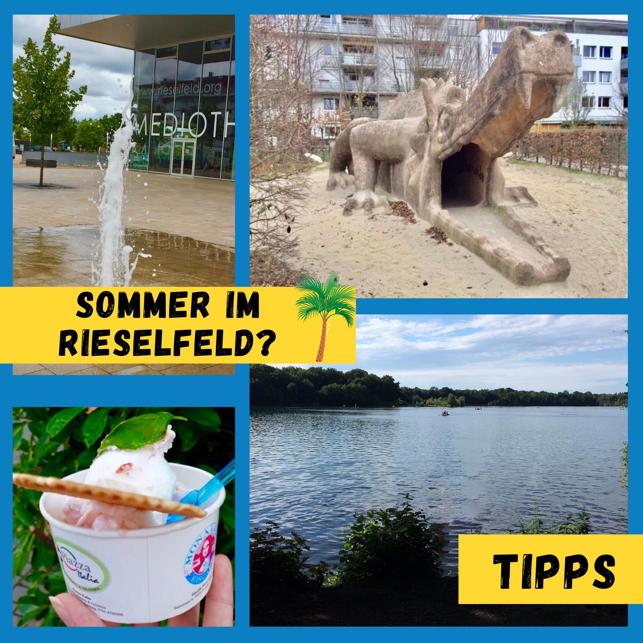 Sommer im Rieselfeld - Tipps