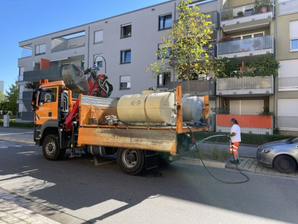 Bäume gießen im Rieselfeld