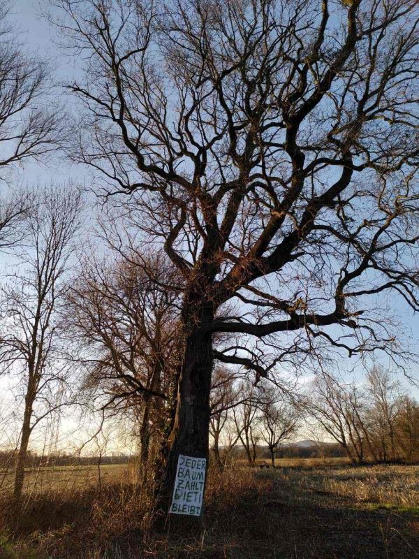 Auenlandschaft Dietenbach