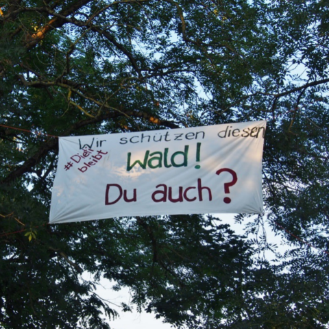 Wir schützen den Wald! - Du auch? Banner im Wald